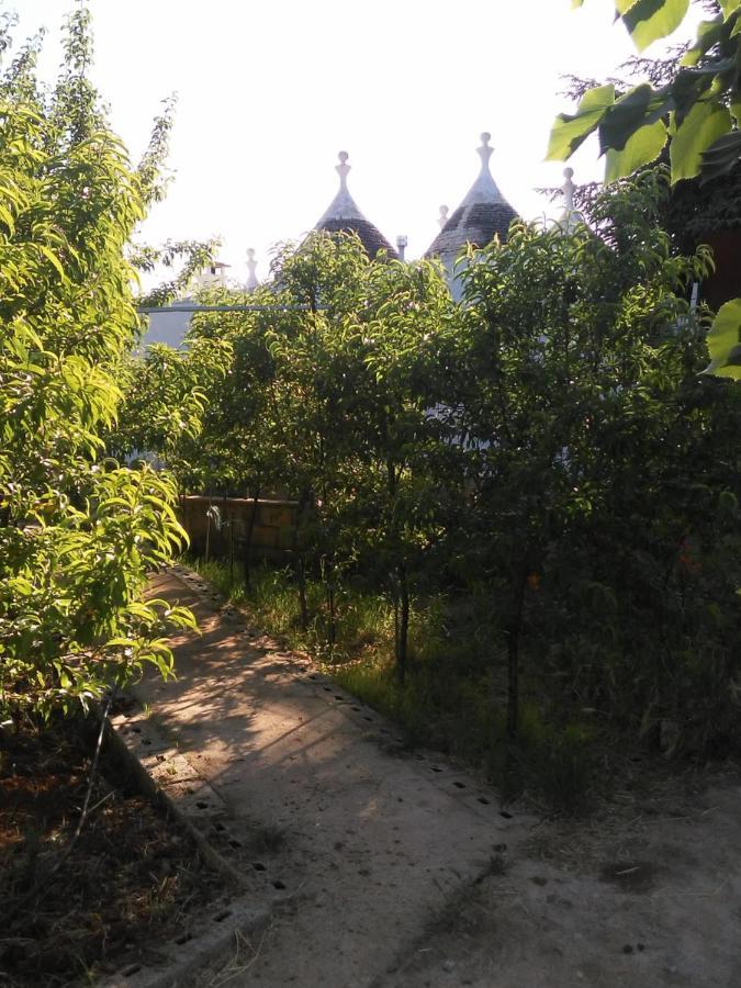 Trullo Francisco Pensionat Martina Franca Eksteriør billede